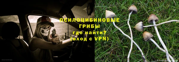 эйфоретик Мегион