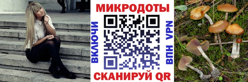 Галлюциногенные грибы Magic Shrooms хочу Красногорск