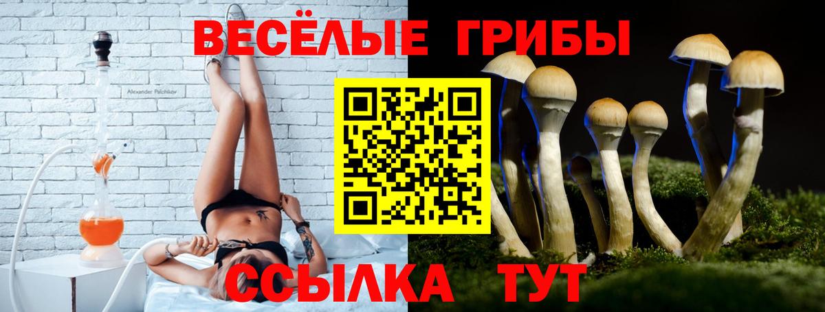 Галлюциногенные грибы Psilocybe  Галлюциногенные грибы прущие грибы  Вход с VPN  Красногорск 